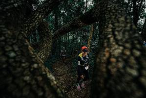 BIB: 
                            <button type="button" onclick="openModal(25680794)" class="btn btn-primary btn-sm float-right btn-popup" data-toggle="modal" data-target=".modal-high-quality">
                        <i class="fas fa-shopping-cart"></i> Add to Cart
                    </button>
                                            <button type="button" onclick="isThisMe(25680794, true)" class="btn btn-success btn-sm float-right btn-popup btn-isme hidden" data-toggle="tooltip" data-placement="bottom" title="นี่คือรูปของคุณใช่ไหม คลิกที่นี่เพื่อเอาเข้าอัลบั้ม">
                        <i class="fas fa-plus"></i> Add to album
                    </button>
                    <button type="button" onclick="isThisMe(25680794, false)" class="btn btn-warning btn-sm float-right btn-popup btn-isnotme hidden">
                        <i class="fas fa-ban"></i> Remove from album
                    </button>